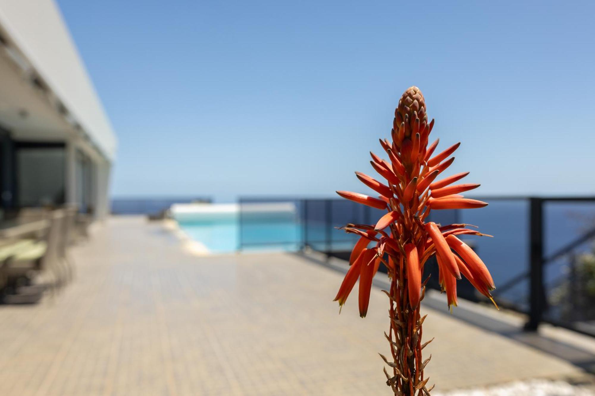 Villa Pascal By Rmz Estreito Da Calheta Zewnętrze zdjęcie